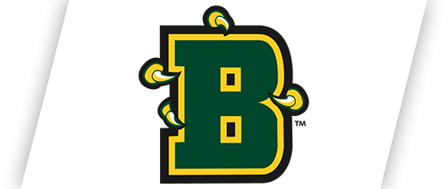Brockport Basketball Camps
